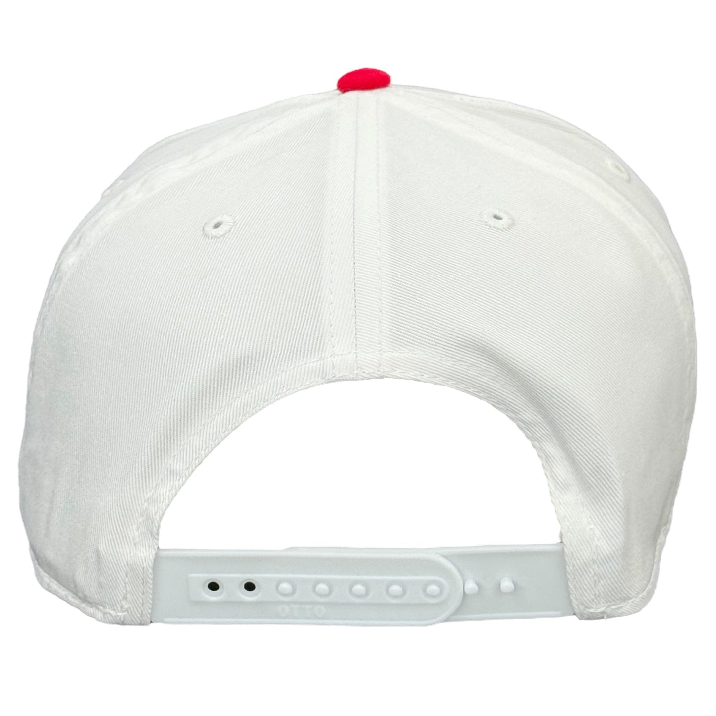 Bad day to be a hotdog snapback hat